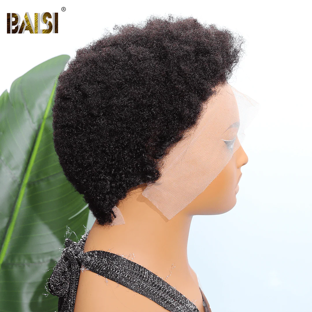 BAISI Perfect Short Afro Curly 13x4 Lace Wig For Black Women - Image 3
